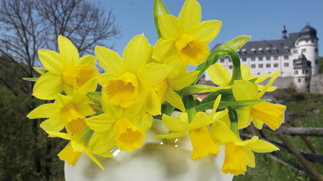 Ostern in Stolberg Harz