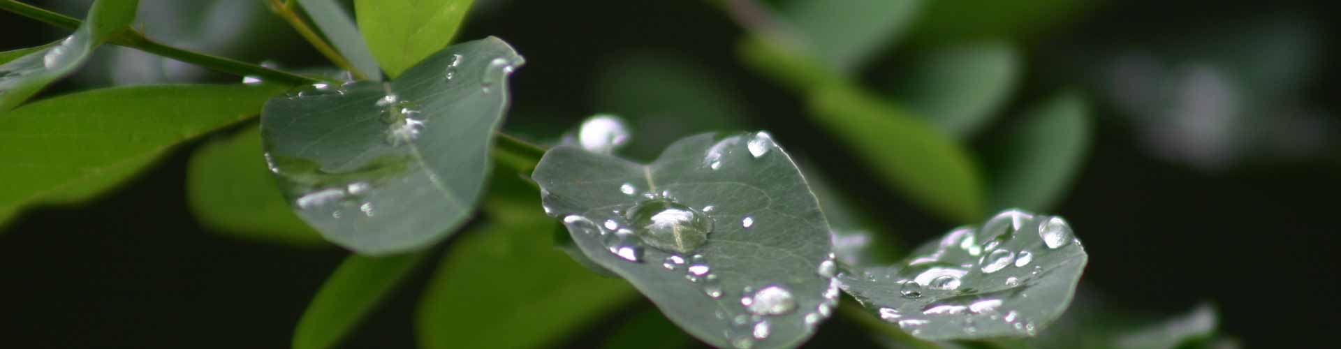 Wellness in Gasthaus Kupfer und Hotel Zum Kanzler